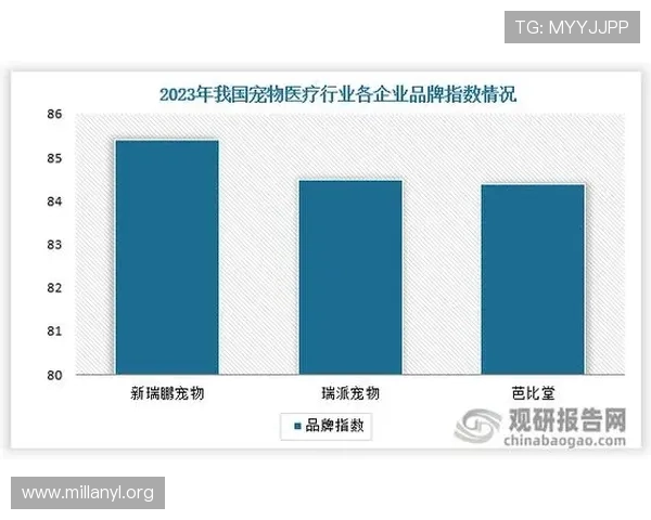 沙巴电竞行业现状与未来发展：投资机会、市场规模及行业前景